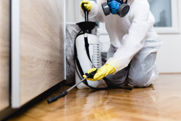 Wasp Removal Services in Hahnville, LA