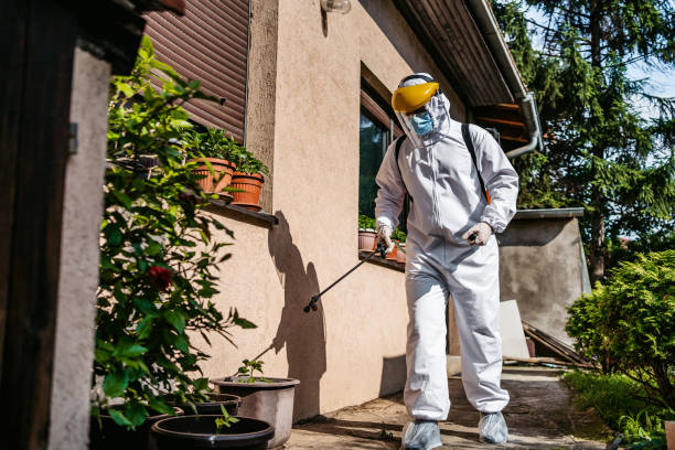 Best Flea Control Services  in Hahnville, LA