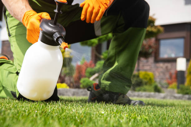 Best Bird Control  in Hahnville, LA