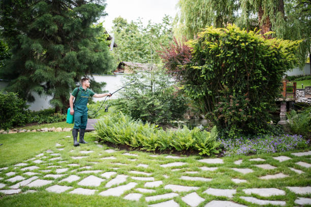 Best Local Pest Control Services  in Hahnville, LA