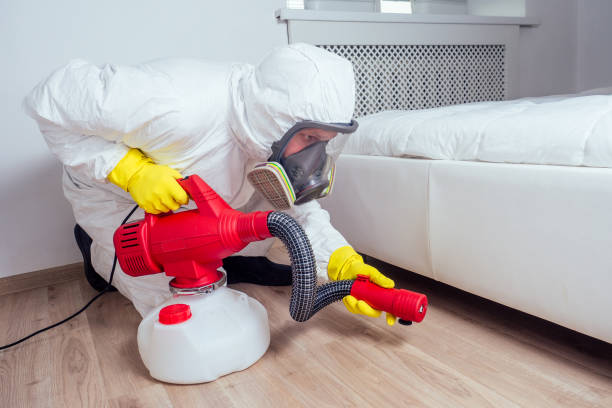 Professional Pest Control in Hahnville, LA