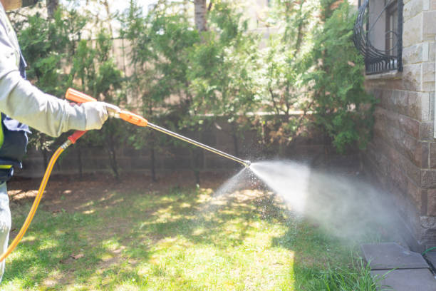 Best Bed Bug Extermination  in Hahnville, LA