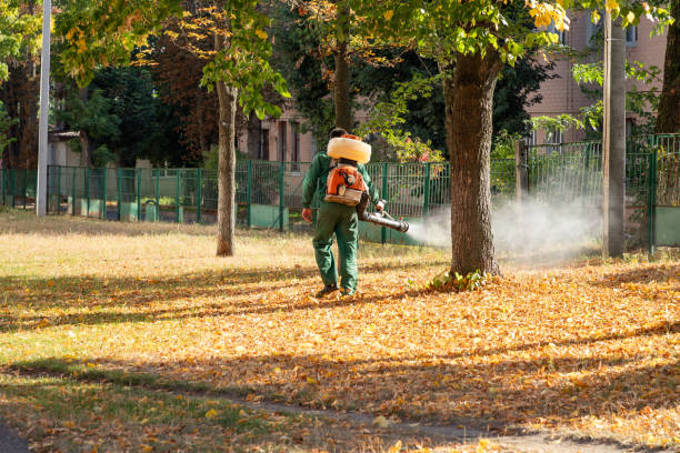 Best Affordable Pest Control Services  in Hahnville, LA