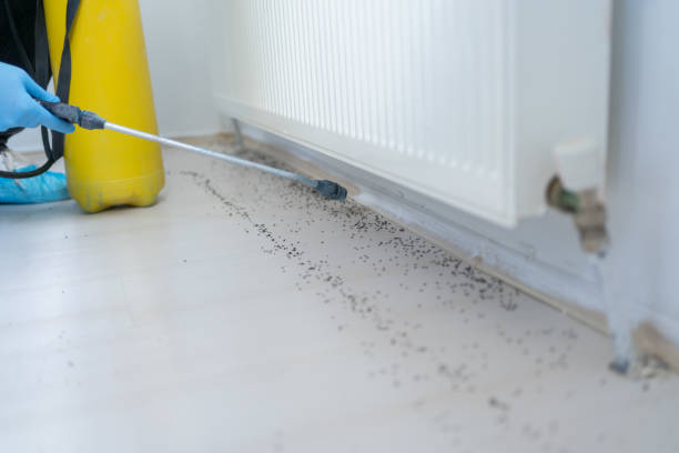 Best Pest Prevention Services  in Hahnville, LA