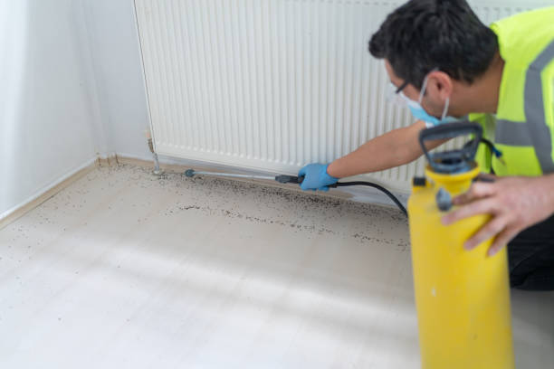 Pest Prevention Services in Hahnville, LA