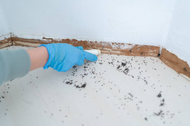 Hahnville, LA Pest Control Company